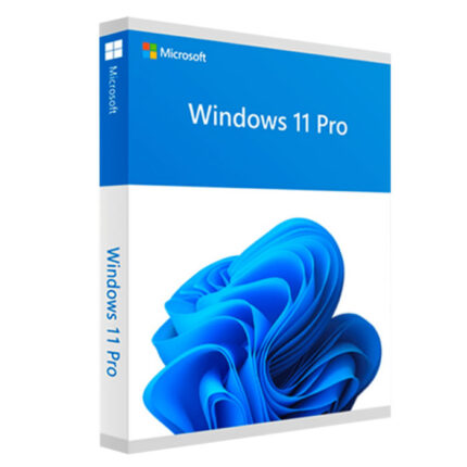 Microsoft Windows 11 Profesional
